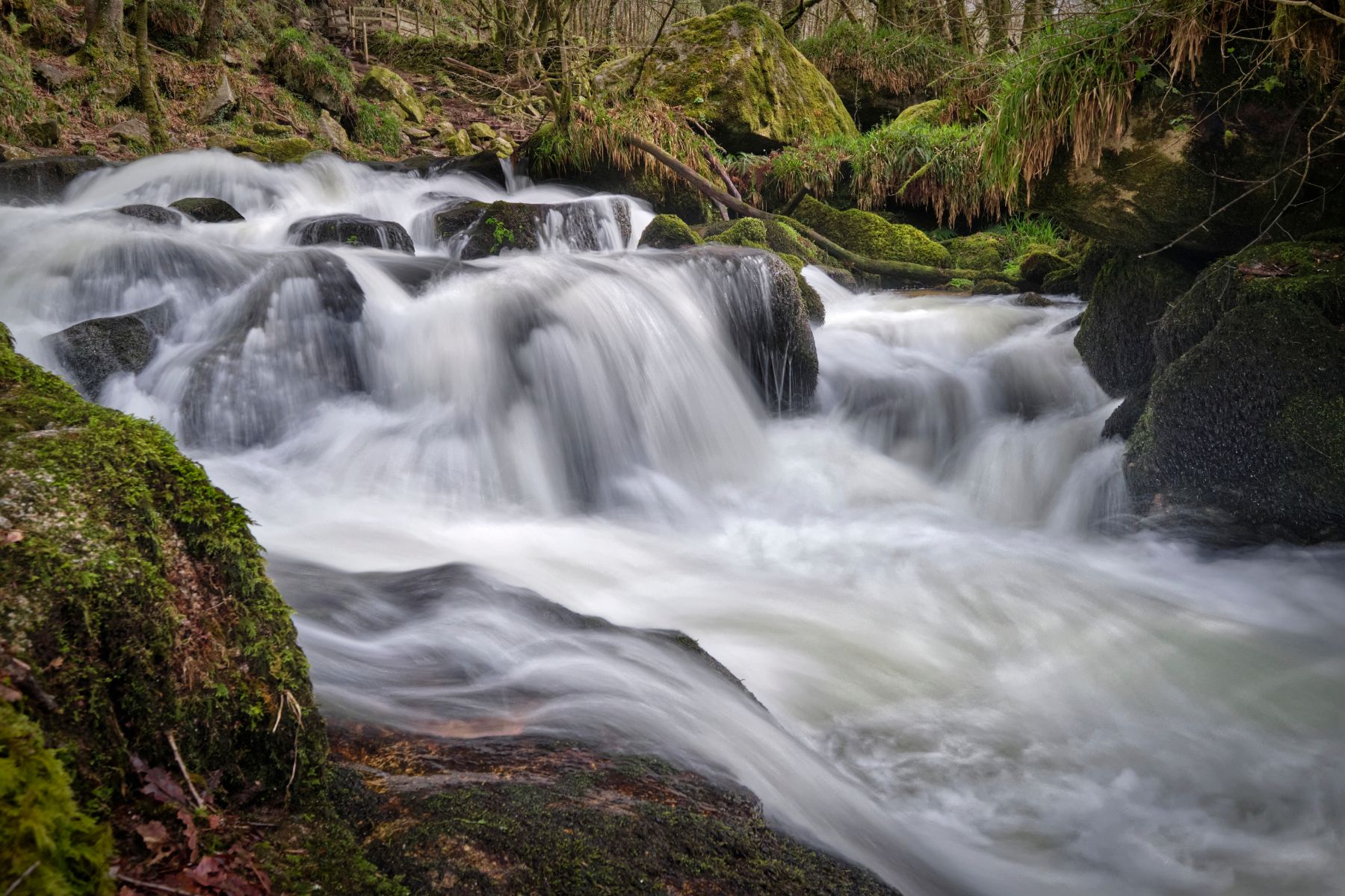 Golitha Falls, United Kingdom