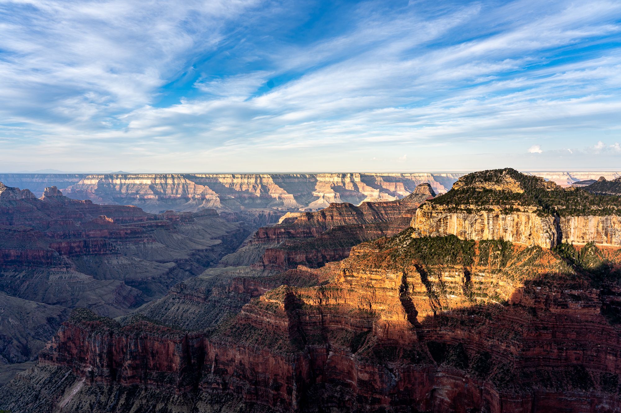 Grand Canyon North Rim Bright Angel Point, USA