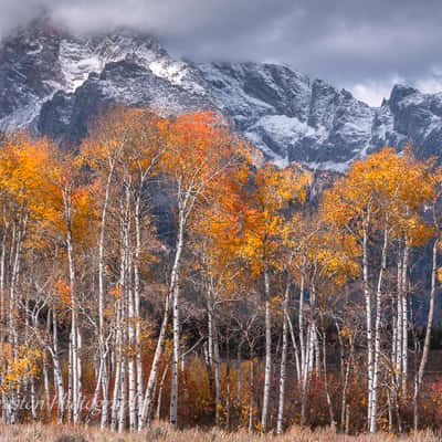 Grand Teton National Park, USA