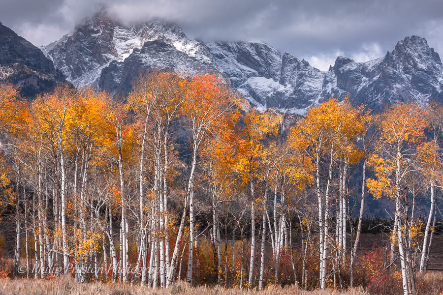 Grand Teton National Park, USA