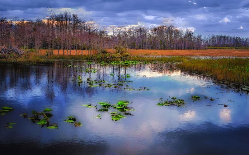 Grassy Waters Preserve, Florida
