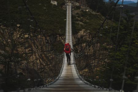 Hanging bridge Grey Lake