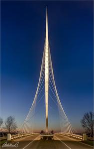 Harp Bridge by Calatrava