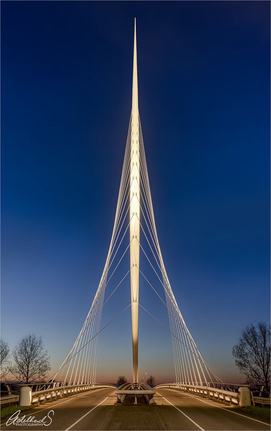 Harp Bridge by Calatrava, Netherlands