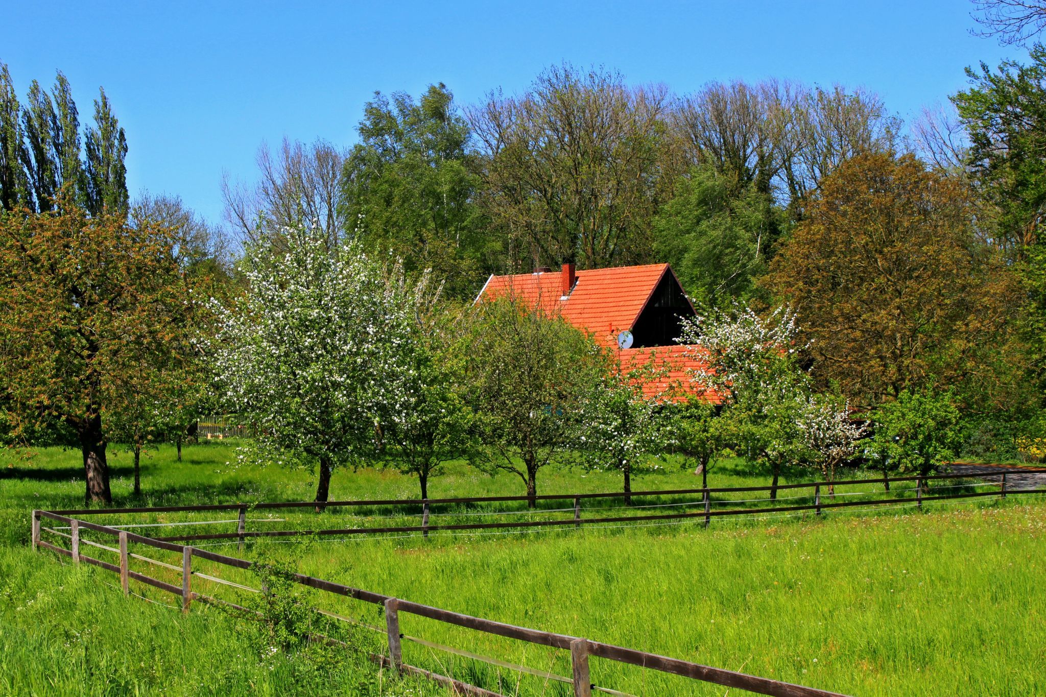 in der Bauerschaft Lasbeck, Havixbeck, Germany
