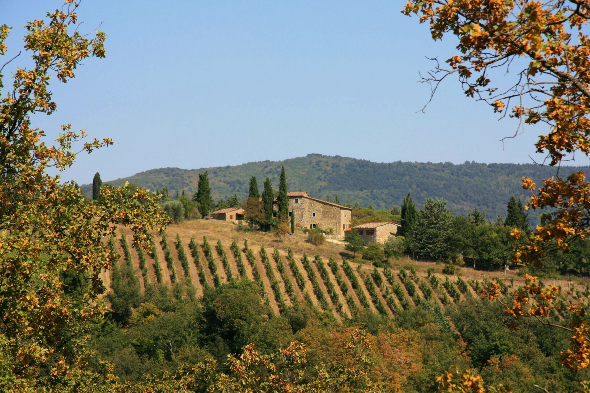 in der Toskana, Italy