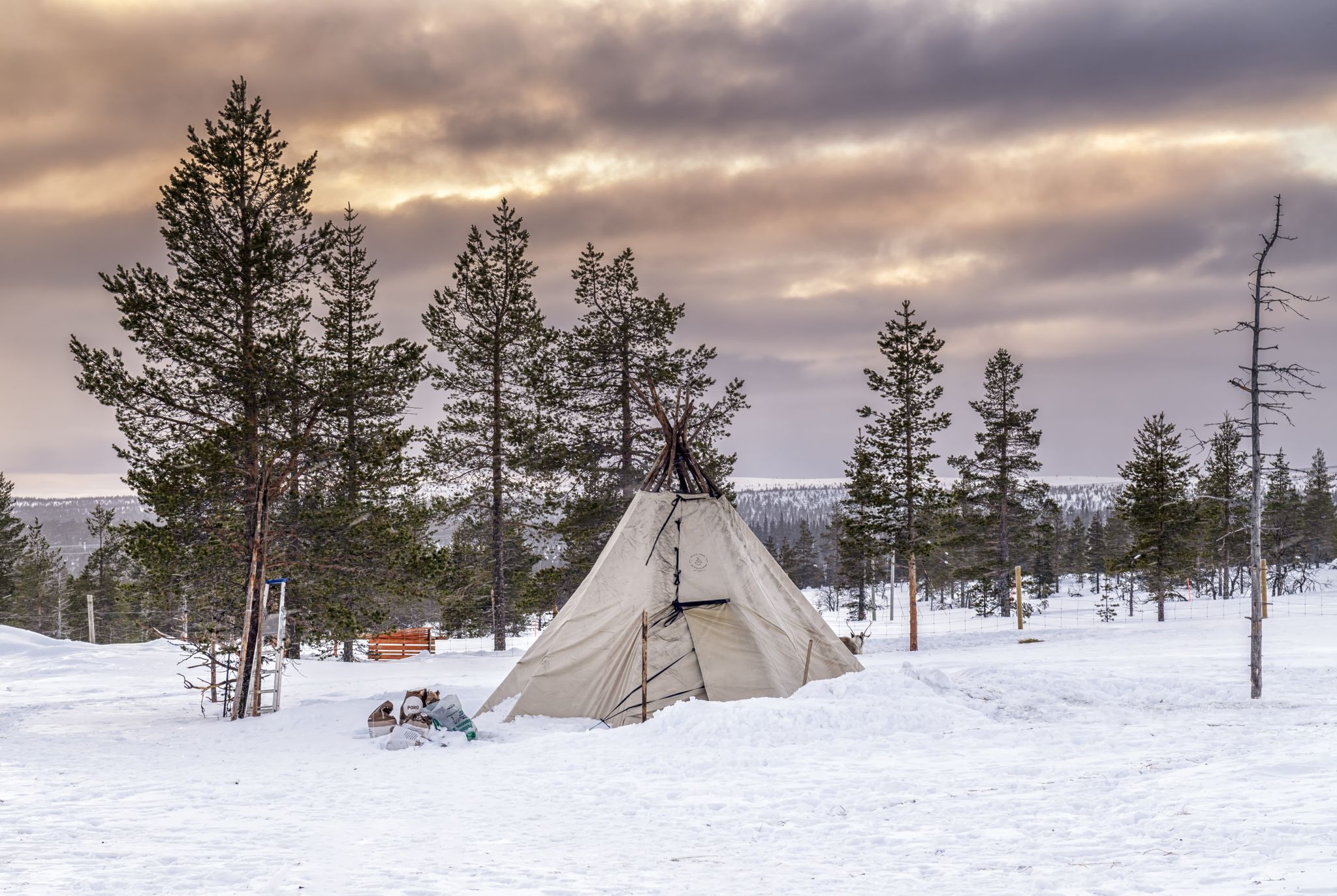 Inari Saariselka, Finland