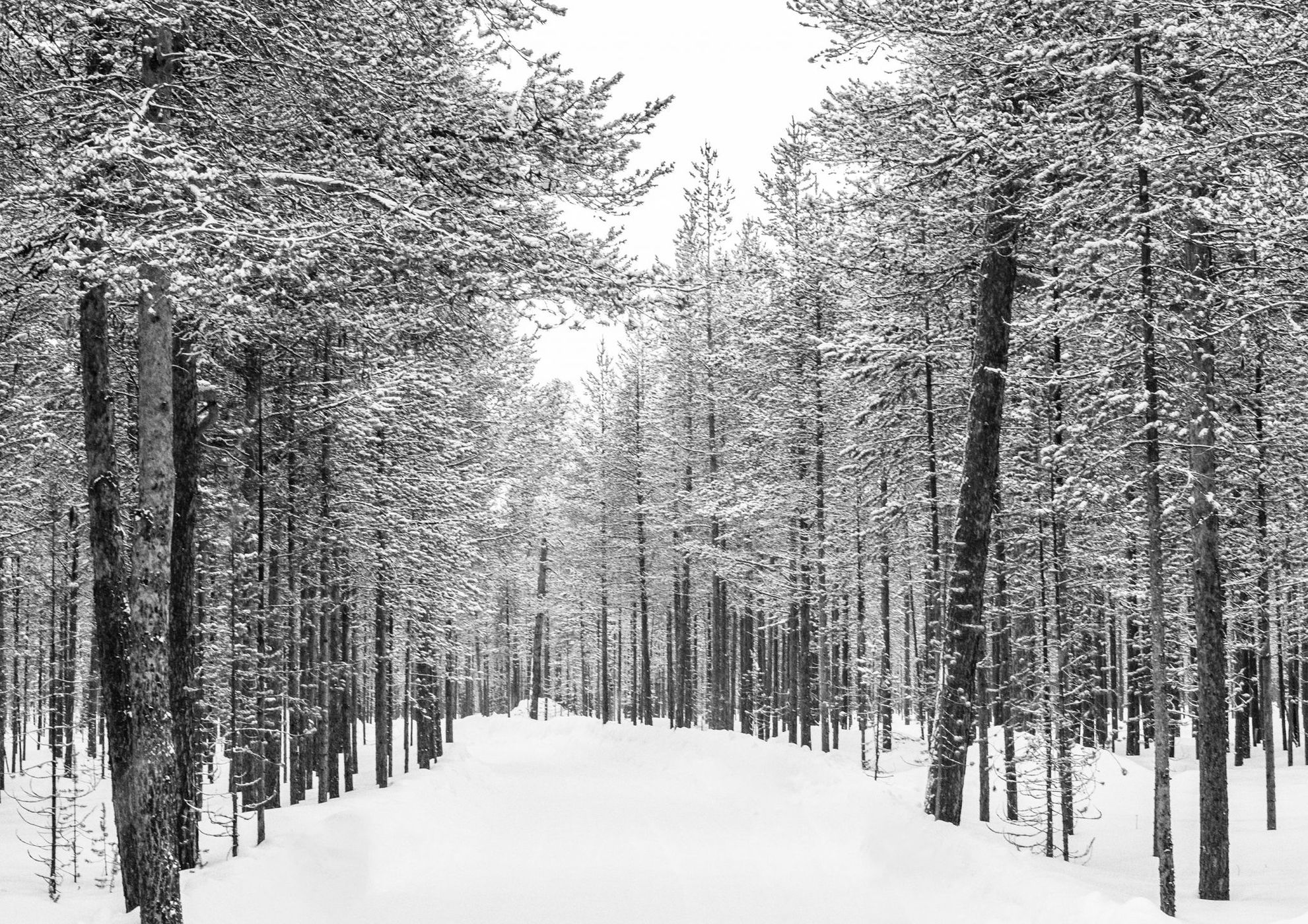 Inari Saariselka, Finland
