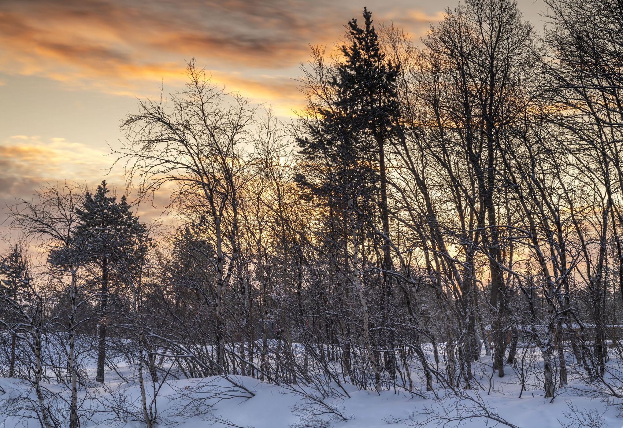 Inari Saariselka, Finland