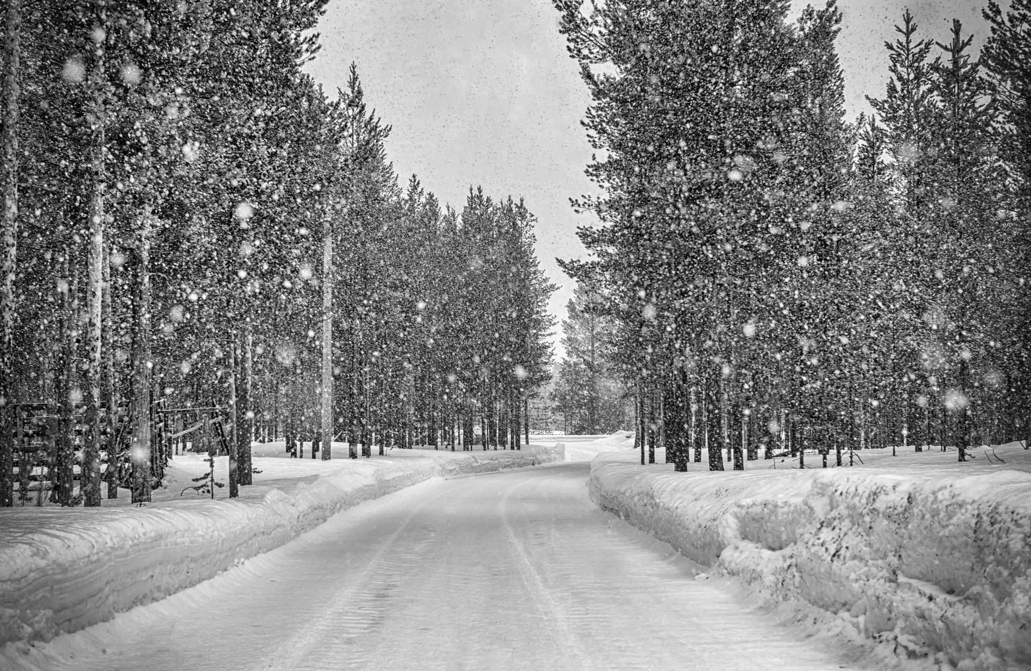 Inari Saariselka, Finland