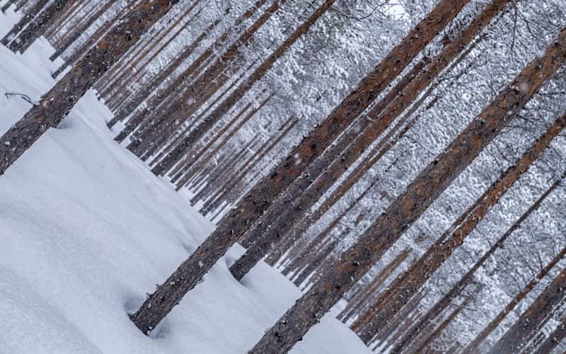 Inari Saariselka