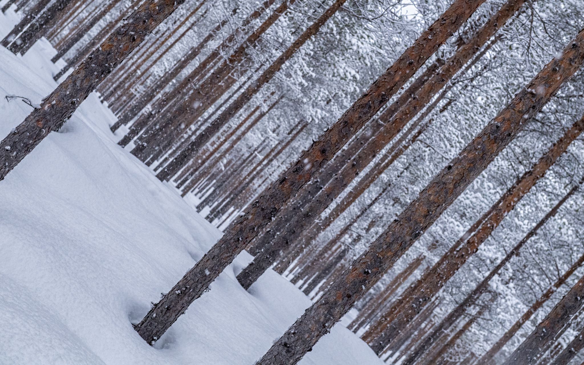 Inari Saariselka, Finland