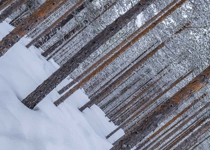 Inari Saariselka