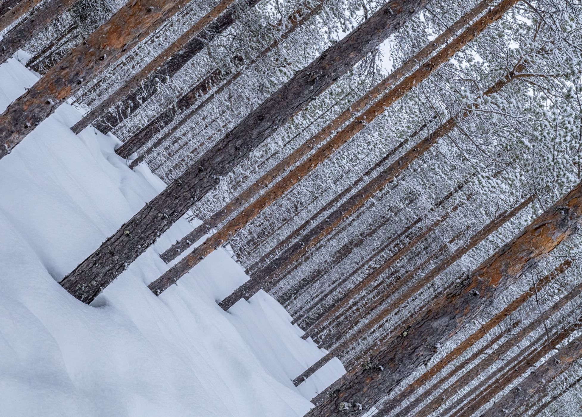 Inari Saariselka, Finland