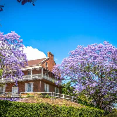 Jacaranda time Windsor New South Wales, Australia