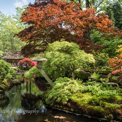 Japanese Garden in Park Clingendael, The Hague, Netherlands