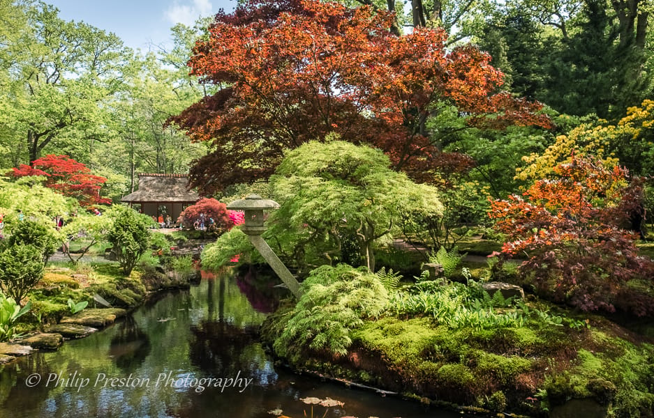 Japanese Garden in Park Clingendael, The Hague, Netherlands