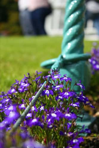 Kylemore Abbey Walled Garden