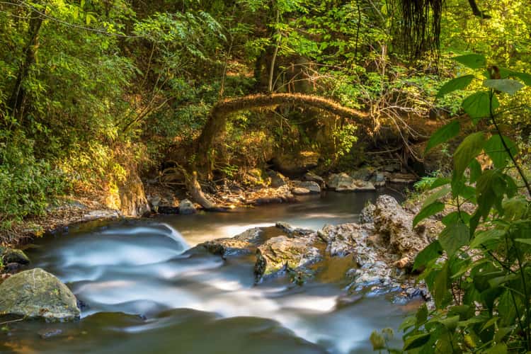 La Cascada