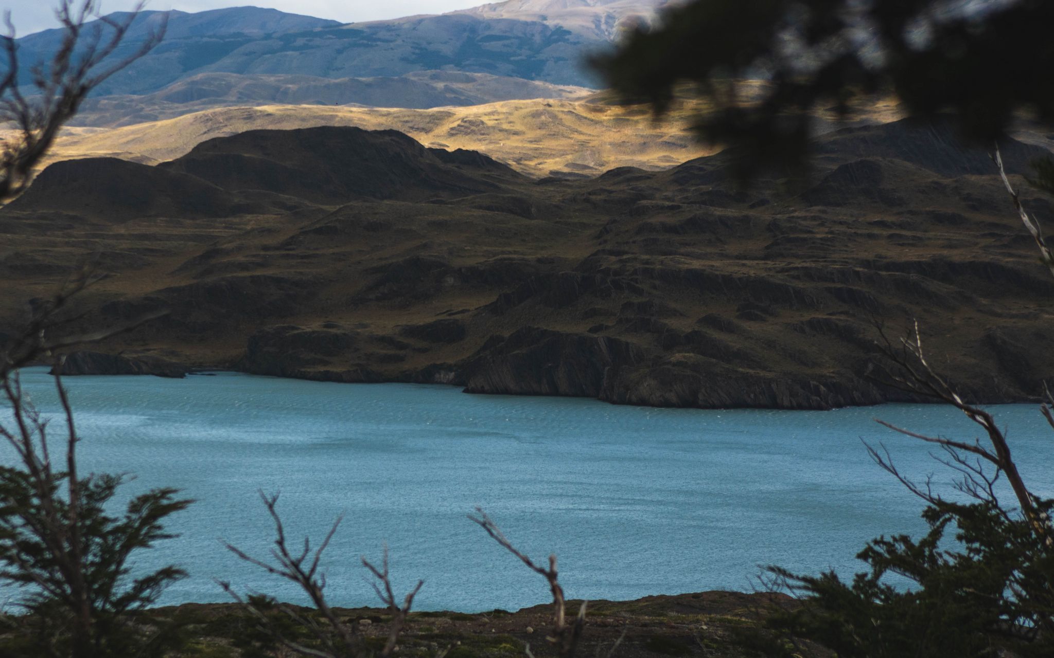 Lake Nordenskjöld, Chile