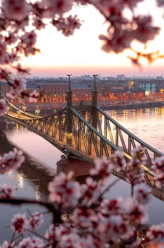 Liberty Bridge, Budapest
