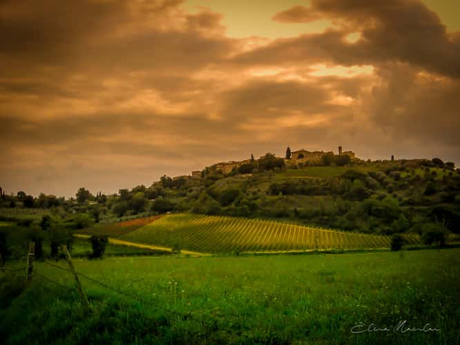 Località Sant'Antimo, Montalcino, SI, Italia