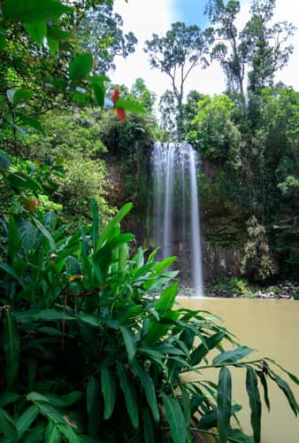 Millaa Millaa Falls