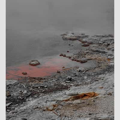 Mud Pool, New Zealand