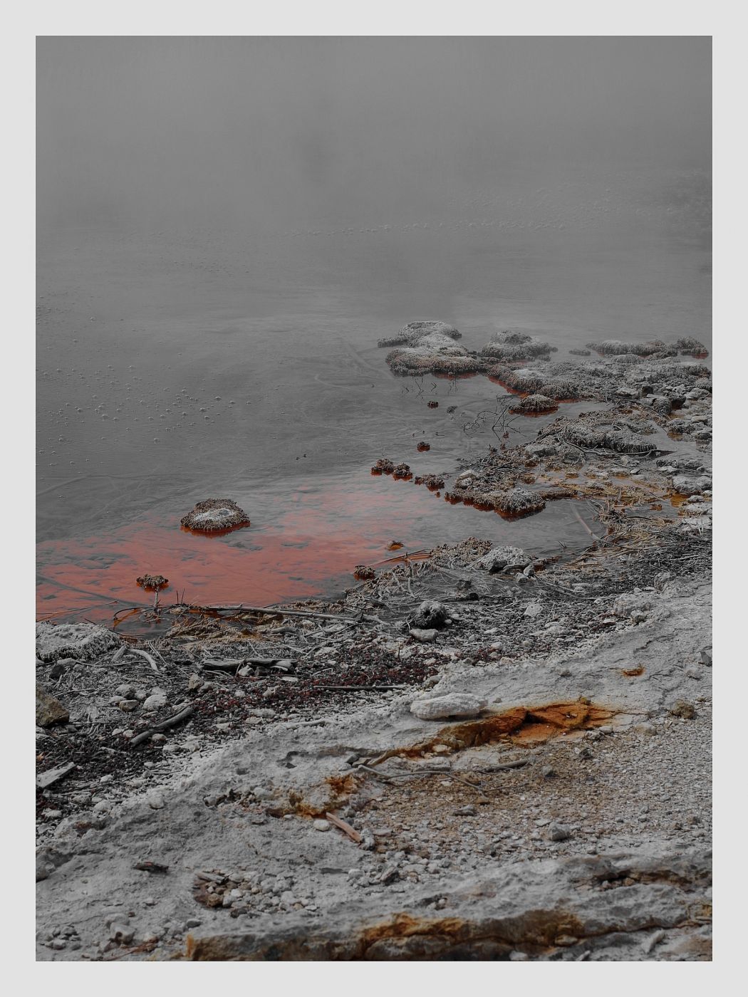 Mud Pool, New Zealand