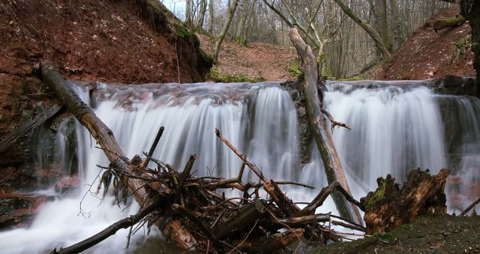 Mühlenbach-Schlucht
