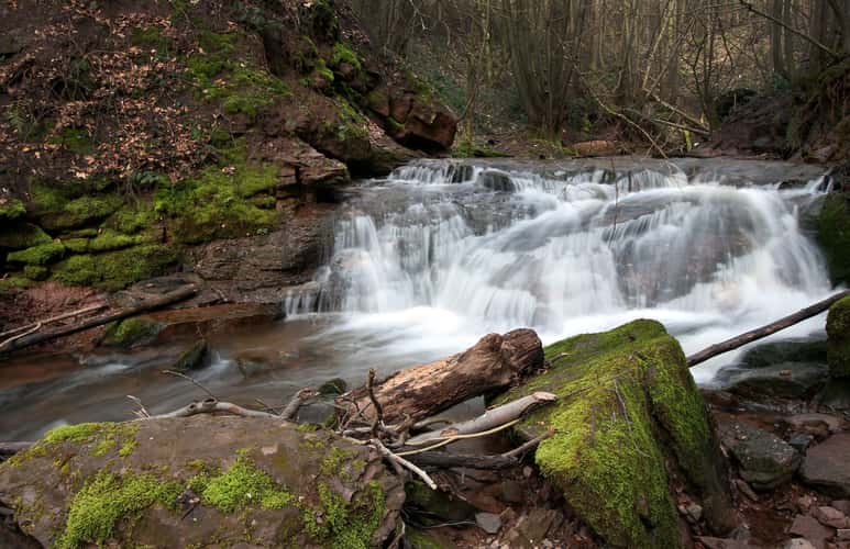 Mühlenbach-Schlucht
