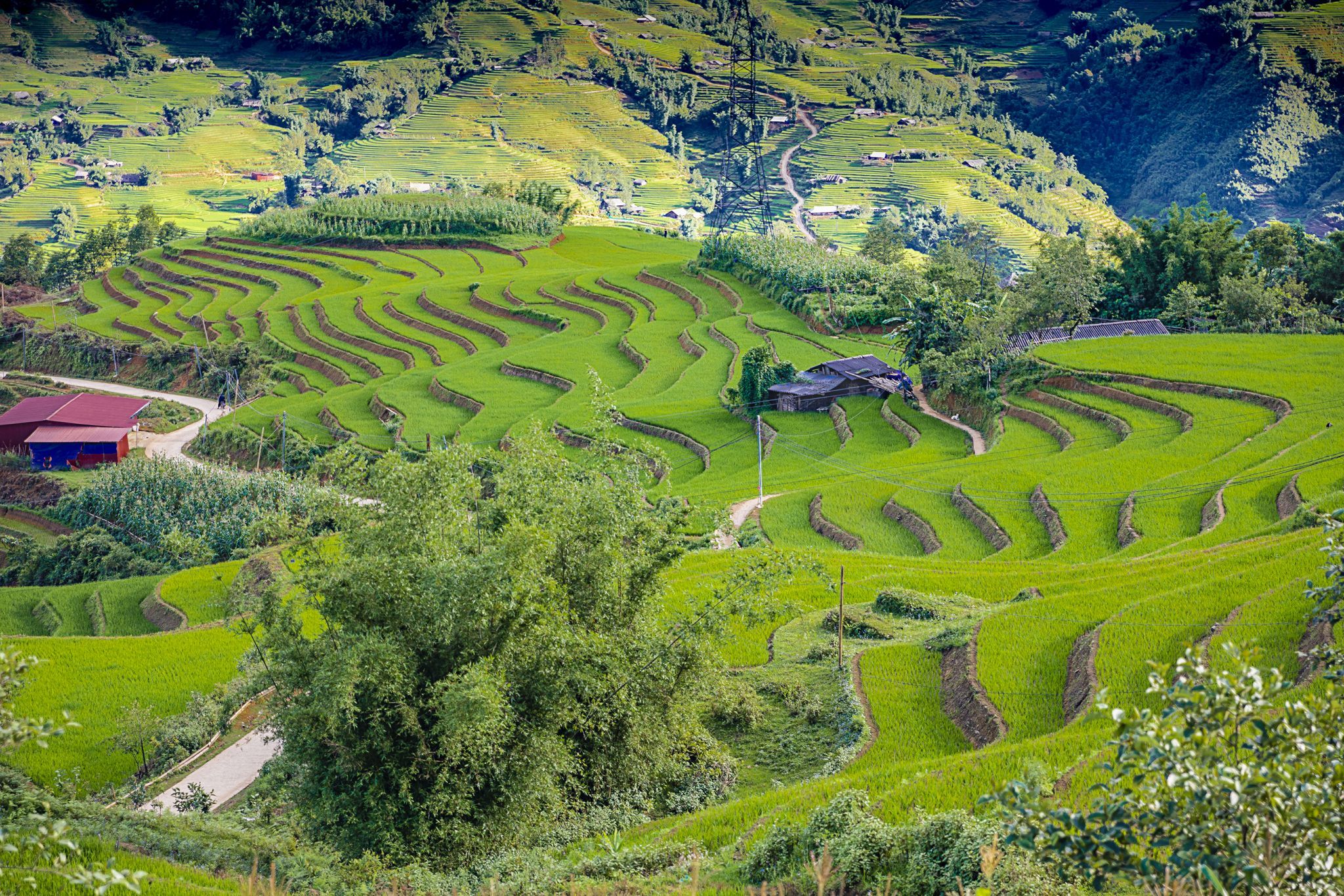 Muong Hoa Valley, Vietnam