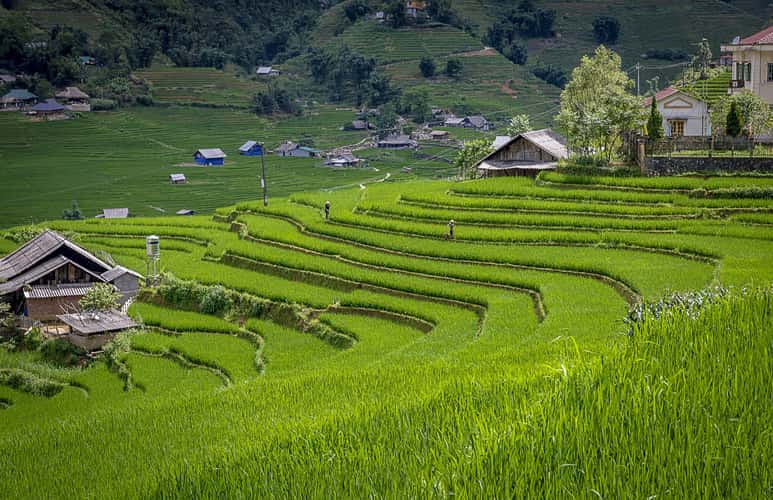 Muong Hoa Valley