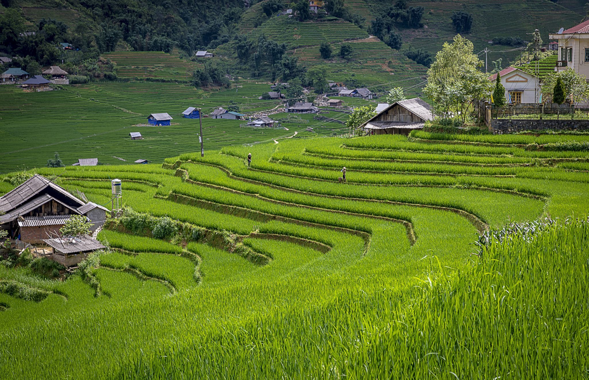 Muong Hoa Valley, Vietnam