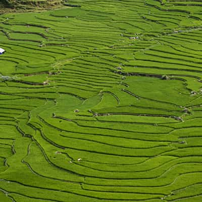 Muong Hoa Valley, Vietnam