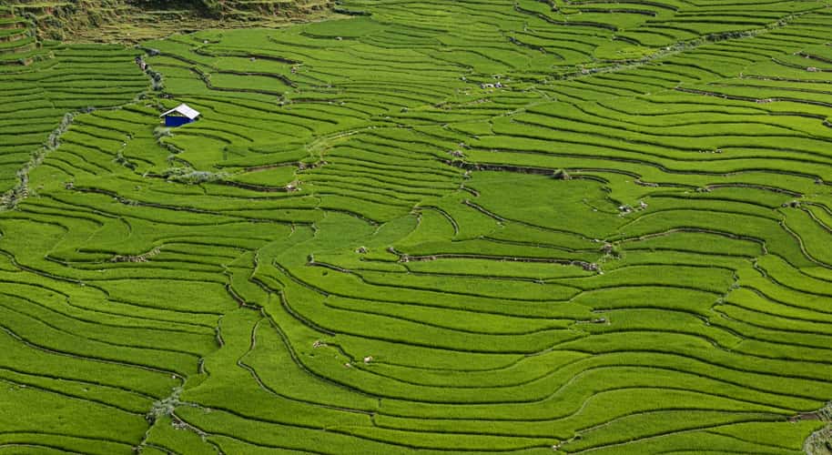 Muong Hoa Valley