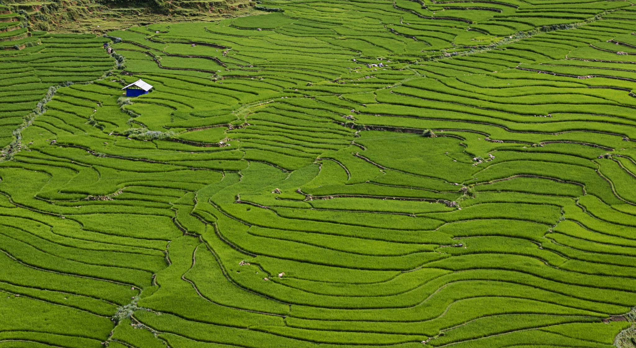 Muong Hoa Valley, Vietnam