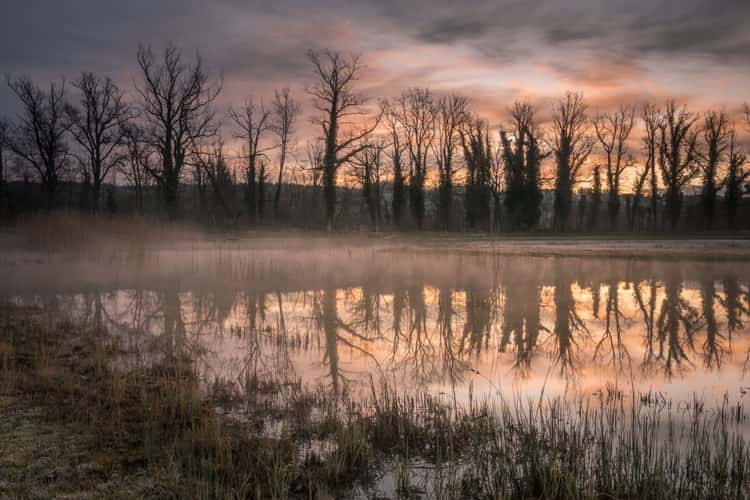 nature reserve Rottenschwil