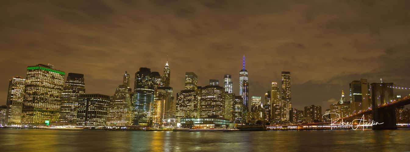 New York City Skyline