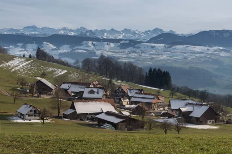 Oberalbis