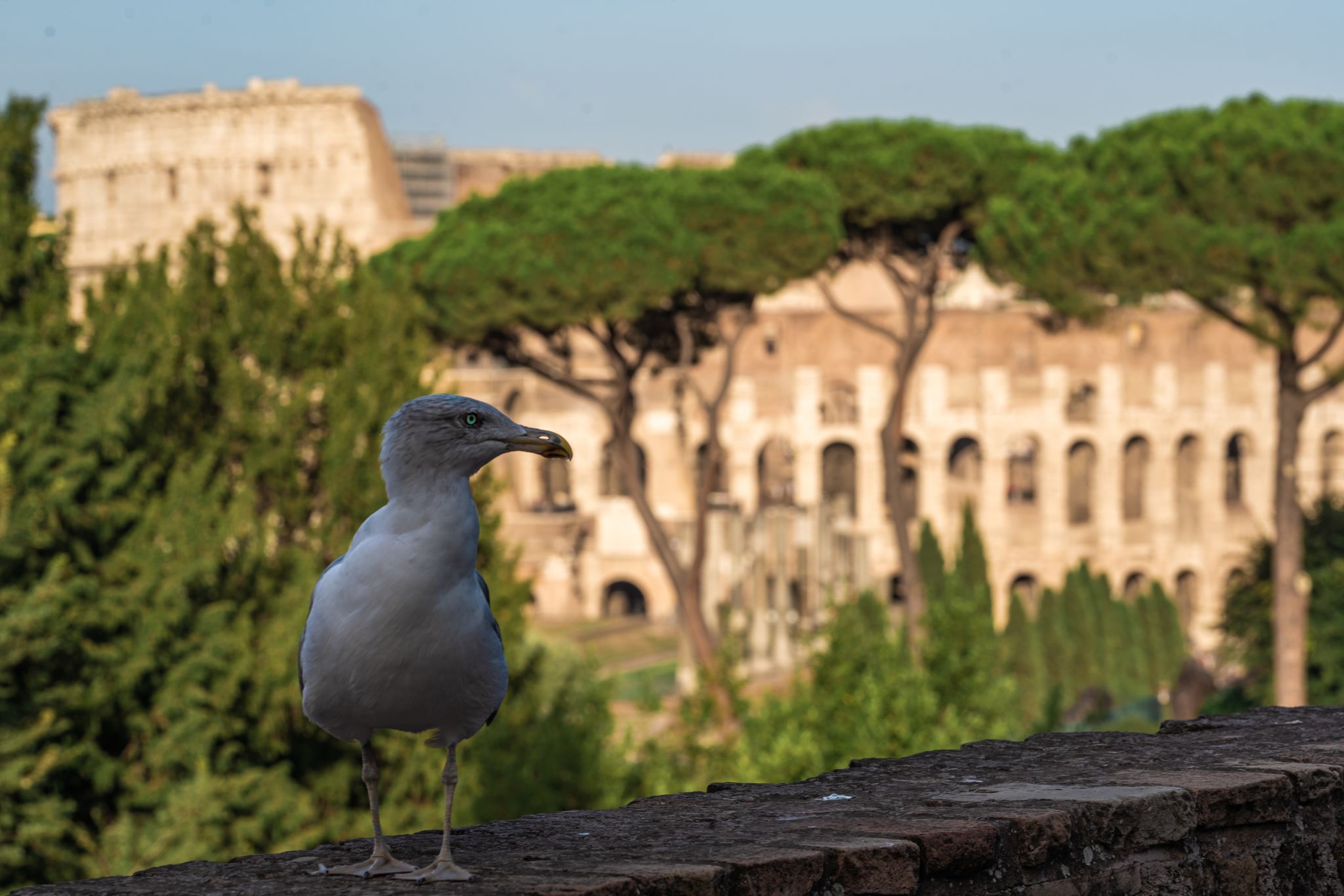 Palatine Hill, Italy