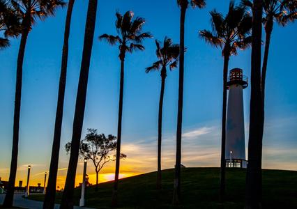 Palm Tree & Lighthouse Sunrise Long Beach California