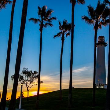 Palm Tree & Lighthouse Sunrise Long Beach California, USA