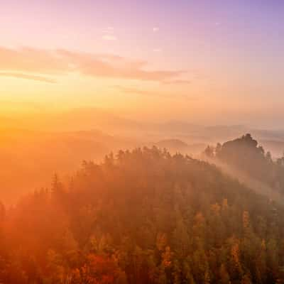 Ping fogy, Czech Republic