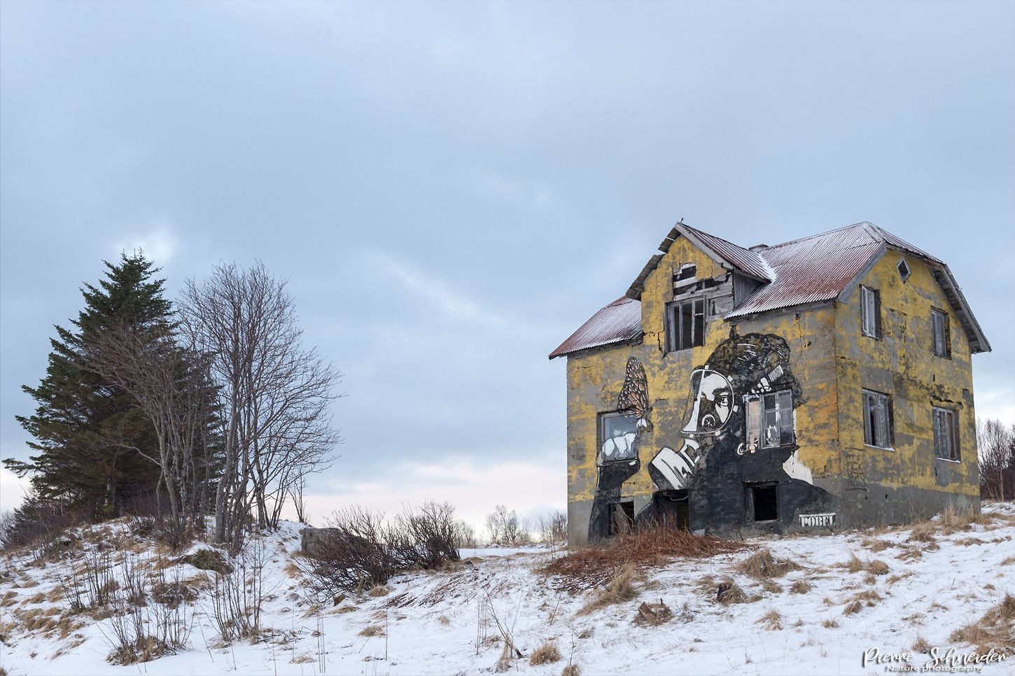 Pøbel Butterfly Street-Art, Lofoten, Norway