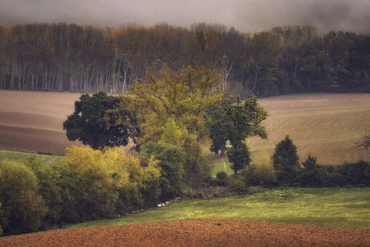 Podere Belvedere