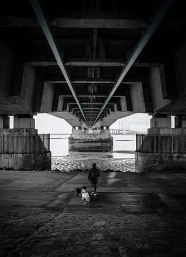 Prince of Wales Bridge from Severn Beach