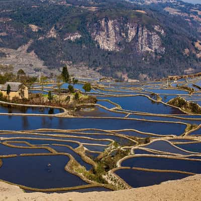 Reisterrassen, China