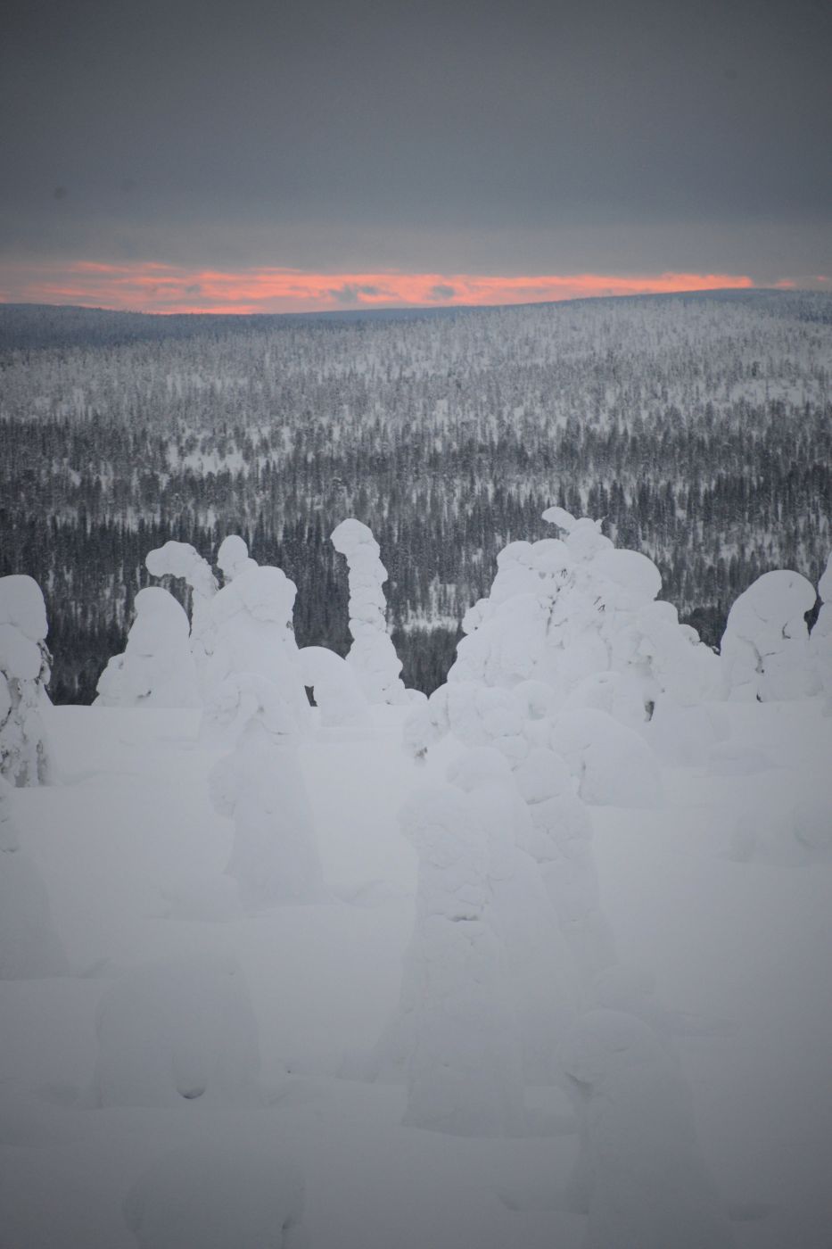 Riisitunturi, Finland