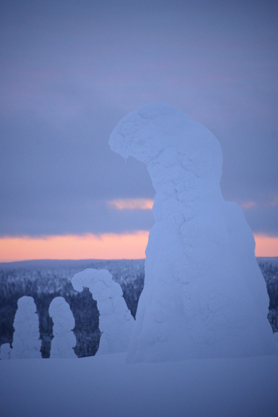 Riisitunturi, Finland